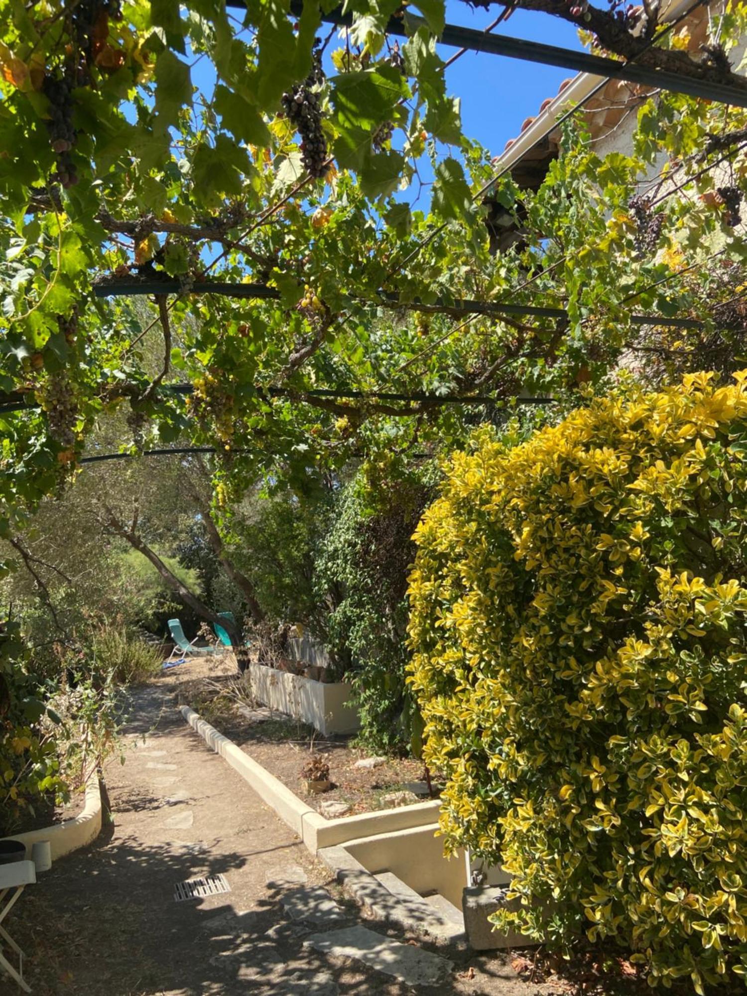 Evasion En Provence Bas De Villa Avec Jardin & Vignes, Soleil & Fraicheur Mirabeau Exterior foto
